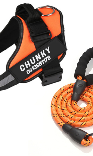 CustomizingBox Personalized Reflective Breathable Adjustable Pet Harness