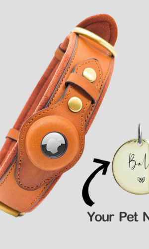 CustomizingBox PERSONALIZED PET AIRTAG COLLAR