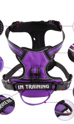 Personalized Y Shape Dog Harness