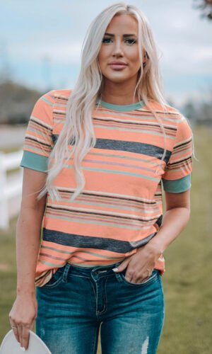 Pink Multicolor Stripes Crew Neck T Shirt
